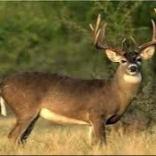 Profile Picture of Michael Irvine (@Michael19096) on Youtube