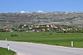 Profile Picture of Lug, Tomislavgradon Wikipedia