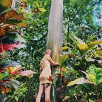 Profile Picture of Lil :) (@lily.cannnon) on Instagram