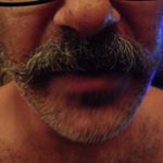 Profile Picture of Damion Presogna's Moustache (@damionsmoustache) on Instagram
