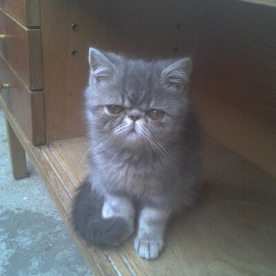 Profile Picture of Paula Busa (@paula_busa) on Twitter