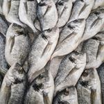 Profile Picture of Pelemo Eleja Epe (@pelemoeleja) on Instagram