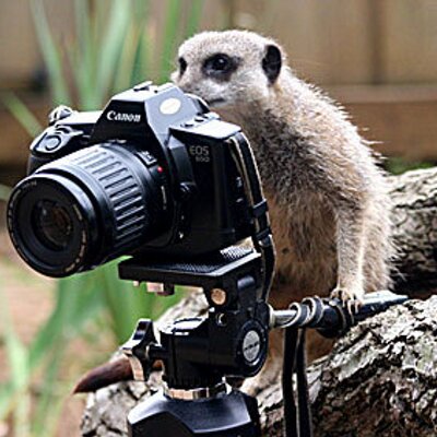Profile Picture of Jim Moye (@JimMoye) on Twitter