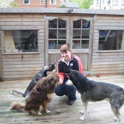 Profile Picture of Jo Cannon (@GoodNewsForDogs) on Twitter