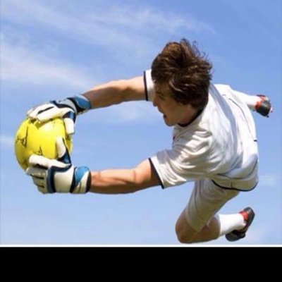 Profile Picture of Joe Melius (@bigchiefgreen) on Twitter