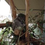 Profile Picture of Steven Schwarzer (@steven_schwarzer) on Instagram