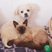 Profile Picture of Sonia Palma (@soniapalma4429) on Youtube