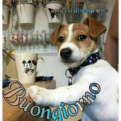 Profile Picture of Vincentius Salvati (@vincentiussalvati) on Tiktok