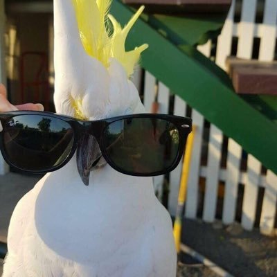 Profile Picture of Carter Bennett (@CarterB31237403) on Twitter