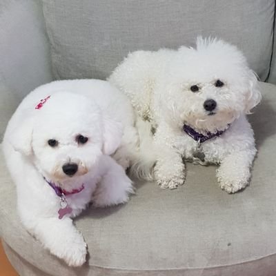 Profile Picture of Brian Pettitt (@BrianPettitt10) on Twitter