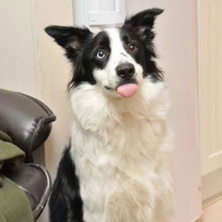 Profile Picture of Adam Mitchell (@adam.mitchell.503) on Facebook