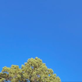 Profile Picture of nadiaalyahs™ (@nadiamitc) on Pinterest