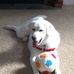 Profile Picture of Steve Jacobson (@steve.jacobson.9041) on Facebook