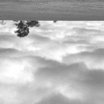 Profile Picture of GEORGIANNA (@thomasinelitt) on Instagram