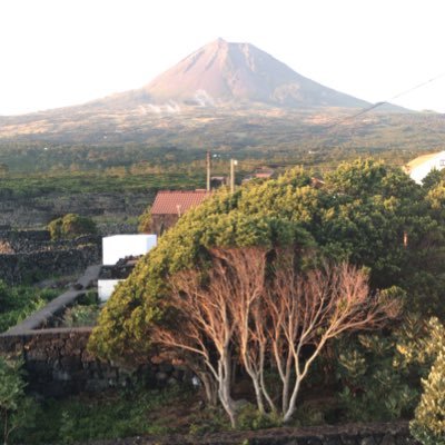 Profile Picture of Ben Fonseca-Moreira (@BenEffem) on Twitter
