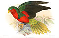 Profile Picture of Stephen's lorikeeton Wikipedia