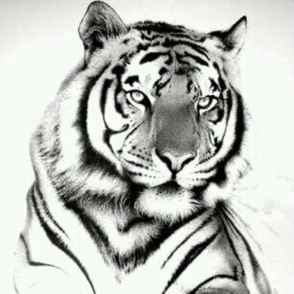 Profile Picture of Auday Alogaili (@auday74) on Poshmark