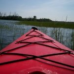 Profile Picture of Nick Procopio III (@napro3) on Instagram