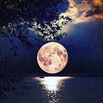 Profile Picture of Лариса (@larisa_key_) on Instagram