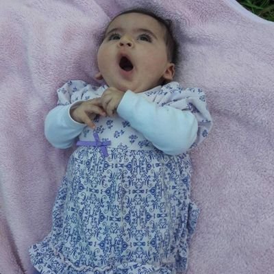 Profile Picture of Mohammadwazwaz6@gmail.com (@mohammadwazwaz6) on Twitter