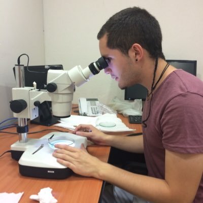 Profile Picture of Alvaro Zavala (@alvaro17zv) on Twitter