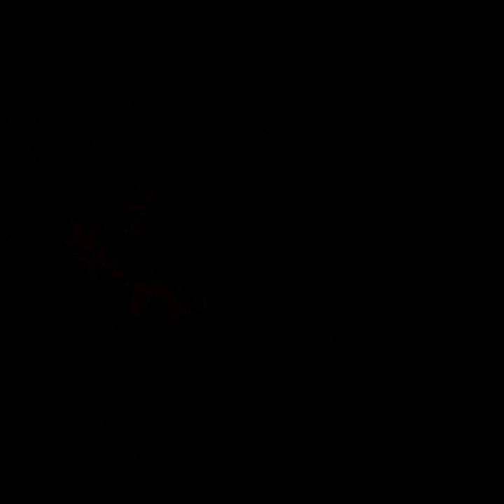 Profile Picture of marcolm mayso (@marcolmaysonet) on Tiktok