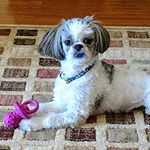 Dawn George - Instagram Profile Picture of Dawn George (@dawn.george.9041) on Instagram