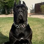 Profile Picture of Edward Lock (@rick.lockridge.357) on Facebook