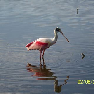 Profile Picture of Nancy Neidrauer (@nancy.neidrauer.9) on Facebook