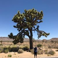 Profile Picture of Cindy Eddy (@cindy-eddy-2) on Quora