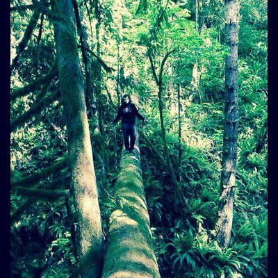 Kyle Sherrell - Twitter Profile Picture of Kyle Sherrell (@kylesherrell141) on Twitter