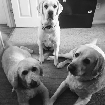 Profile Picture of Lori Cutrell (@ljcutrell) on Twitter