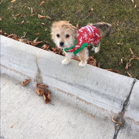 Mandy Powers - Poshmark Profile Picture of Mandy Powers (@collysly) on Poshmark