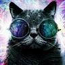 Profile Picture of Michael Reck (@michael_reck) on Tiktok