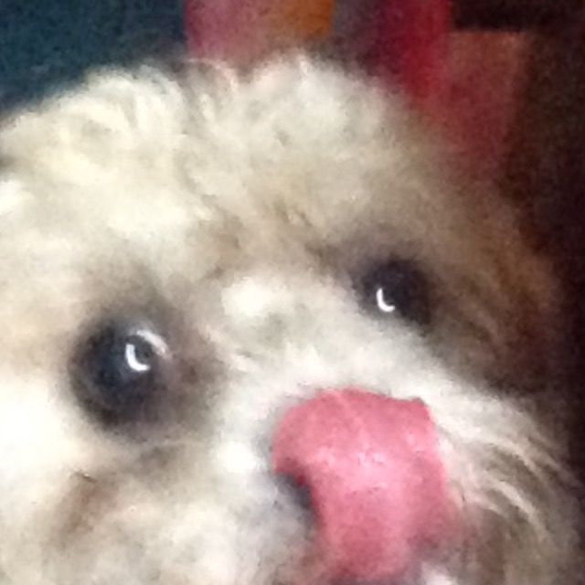 Profile Picture of kimhartwell (@kimhartwell6) on Tiktok