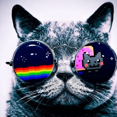Profile Picture of Jesse Makela (@JJxSNipez) on Twitter