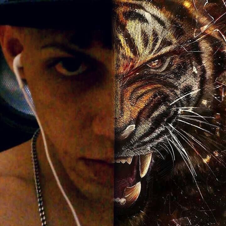 Profile Picture of Wilfredo Colon (@wilfredo_91) on Tiktok