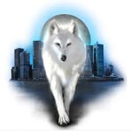 Profile Picture of Amelia Forest (@jack.castillon.7) on Facebook