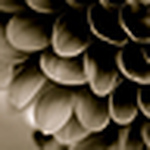 Profile Picture of Quinn.g (@quinn.g) on Flickr