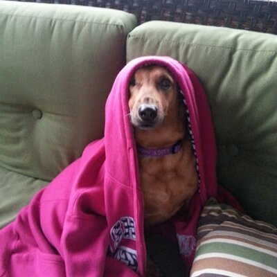 Profile Picture of Tammy Spaulding (@tntspaulding) on Twitter