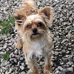 Profile Picture of Bobbi Manning (@bobbim12) on Instagram