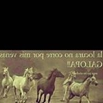 Profile Picture of Jeremias Carona (@jerecarona_26) on Instagram