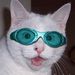 Profile Picture of Henry Grant (@Pootsiee) on Pinterest
