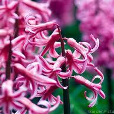 Profile Picture of Umar Mirza (@umarmirza14) on Twitter