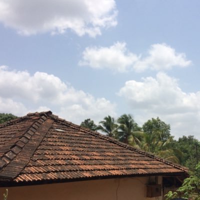 Profile Picture of /WeAreThane #Thane (@WeAreThane) on Twitter