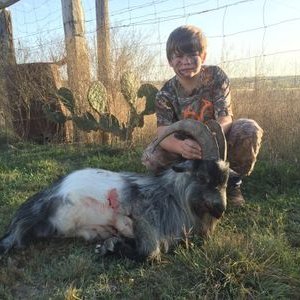 Profile Picture of Cody Adamson (@Cody00adamson) on Twitter