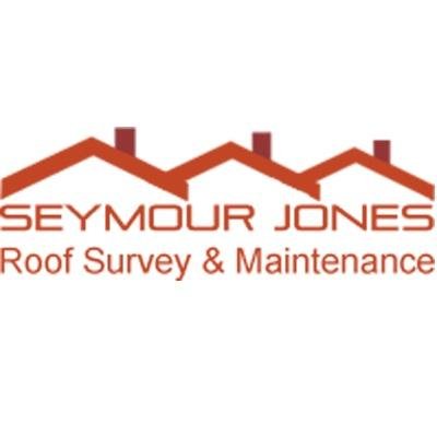 Profile Picture of Seymour Jones Roof (@SeymourJoneRoof) on Twitter