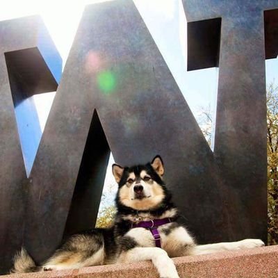 Profile Picture of Robert Bellefeuille (@robbelle66) on Twitter