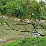 Profile Picture of Aries George Loringcacao (@ramelcapalaran) on Instagram