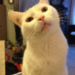 Profile Picture of Tami Anderson (@tami_anderson_bff) on Instagram